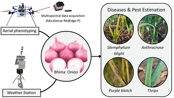 UAV Multispectral Time-Series and Weather-Based Hurdle Modeling for Onion Diseases and Pest Estimation