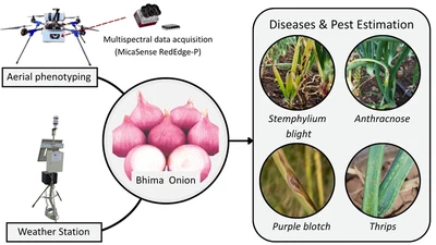 UAV Multispectral Time-Series and Weather-Based Hurdle Modeling for Onion Diseases and Pest Estimation featured image