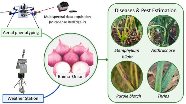 UAV Multispectral Time-Series and Weather-Based Hurdle Modeling for Onion Diseases and Pest Estimation