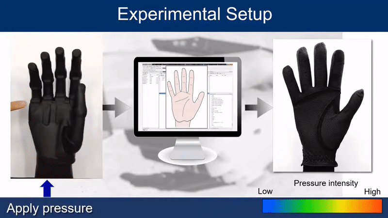 Tactile and haptic glove interface