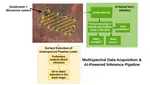 <p align='justify'> Multispectral Image Acquisition & Data Inference using UAV </p>